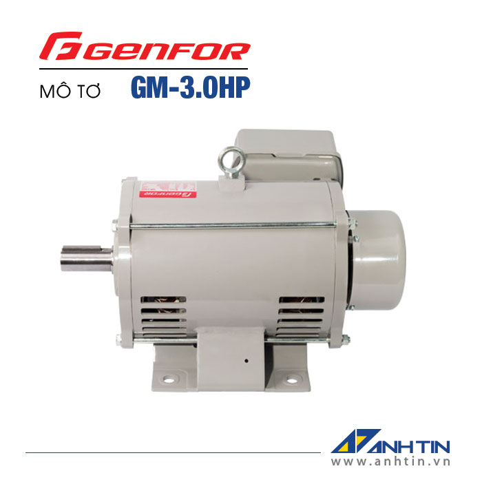 GENFOR GM-3.0HP