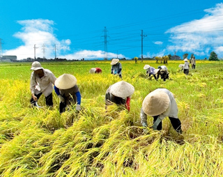 Bộ Nông nghiệp và PTNT công bố đợt VI năm 2012