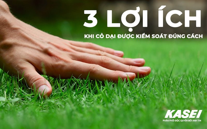 Cỏ dại và 3 lợi ích bất ngờ trong nông nghiệp